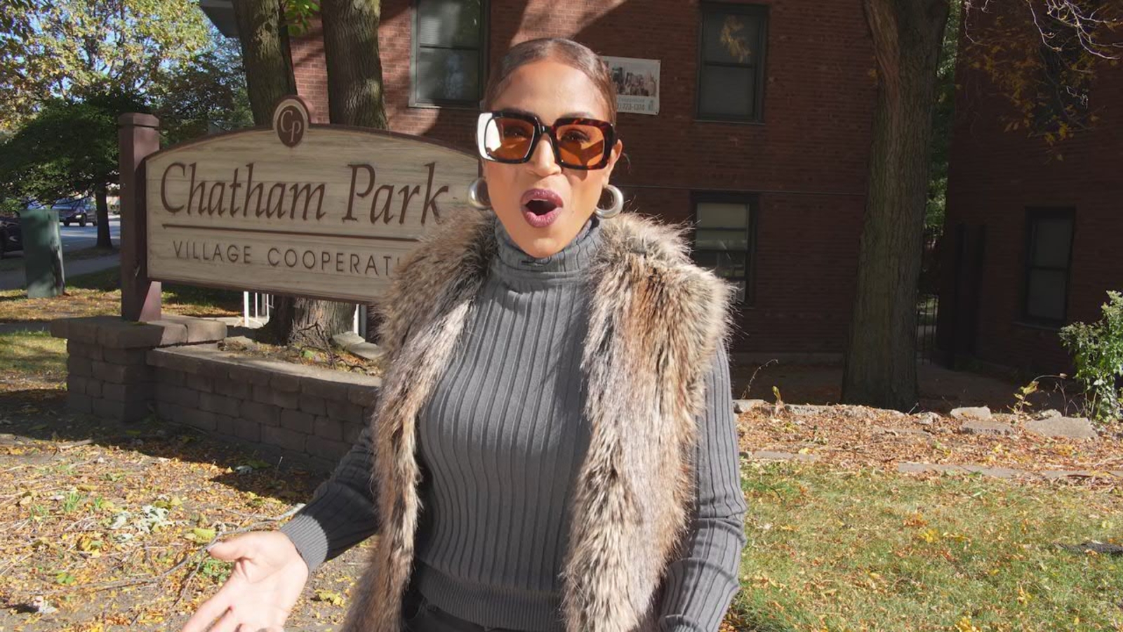 ‘Our Chicago: Neighborhood Walk’: Val Warner, Cheryl Burton explore Chatham, once a Black mecca for businesses [Video]