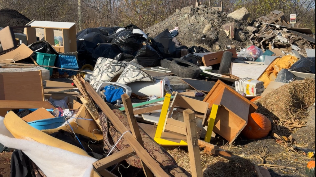 Illegal dumping in Ottawa: Garbage heap growing on Old Innes Road [Video]