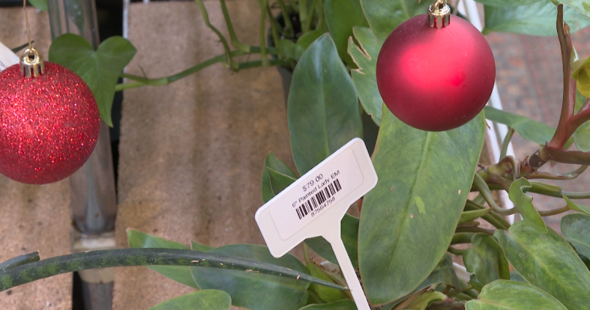 Old Colorado City businesses hope for boost in shoppers as holiday season nears [Video]