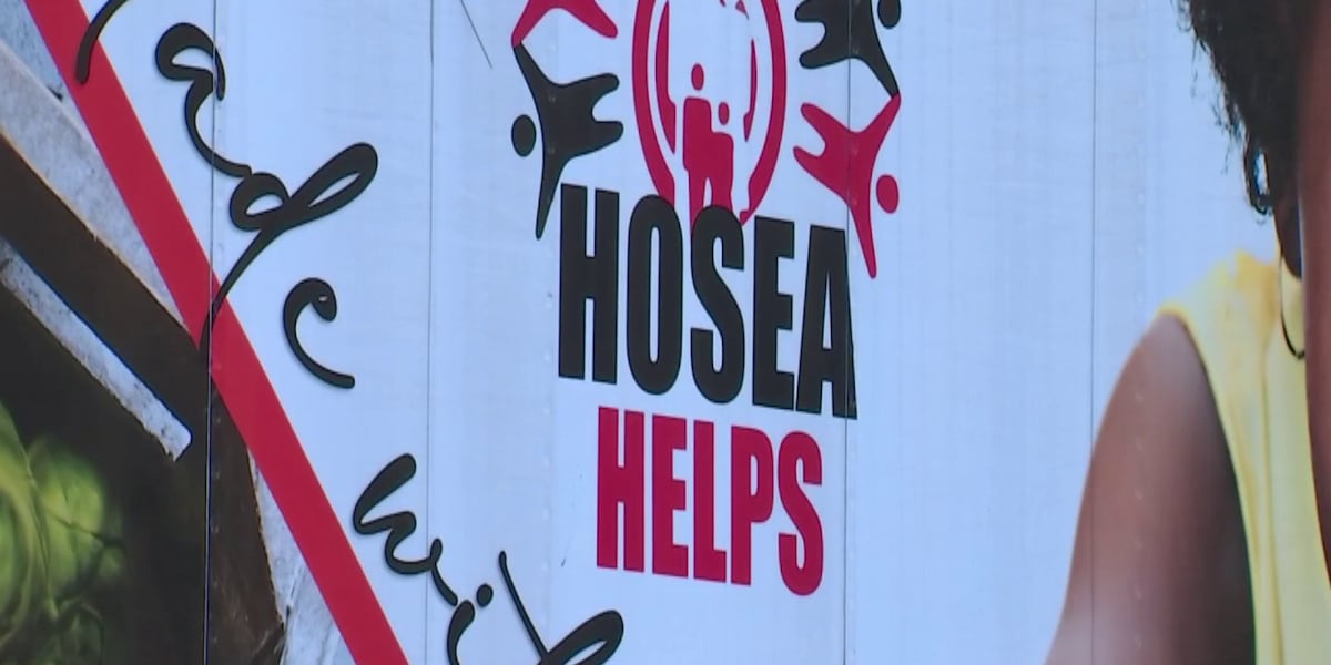 Local nonprofit Hosea Helps holds turkey giveaway in Atlanta [Video]