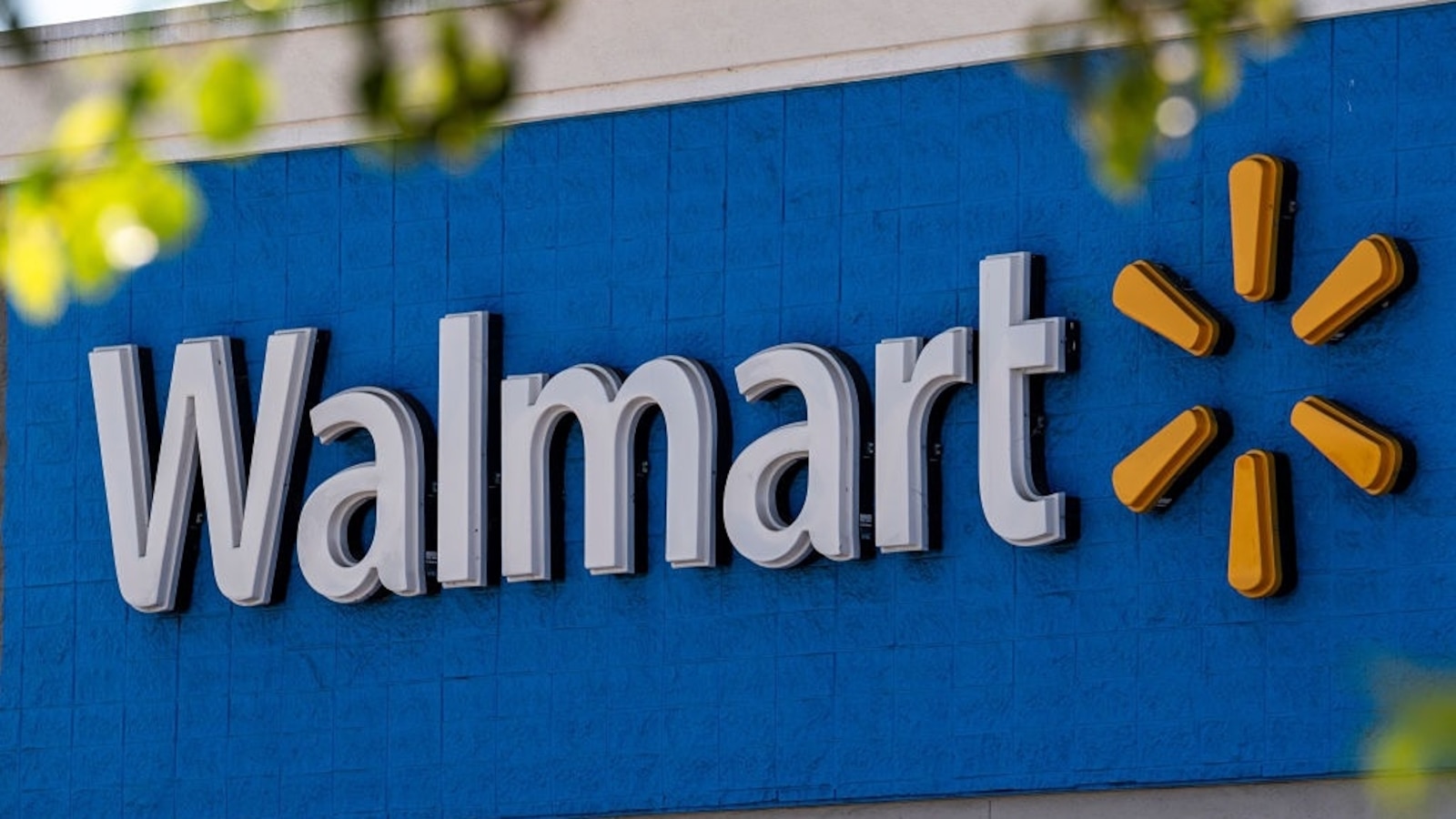 Walmart to roll back its diversity, equity and inclusion policies [Video]