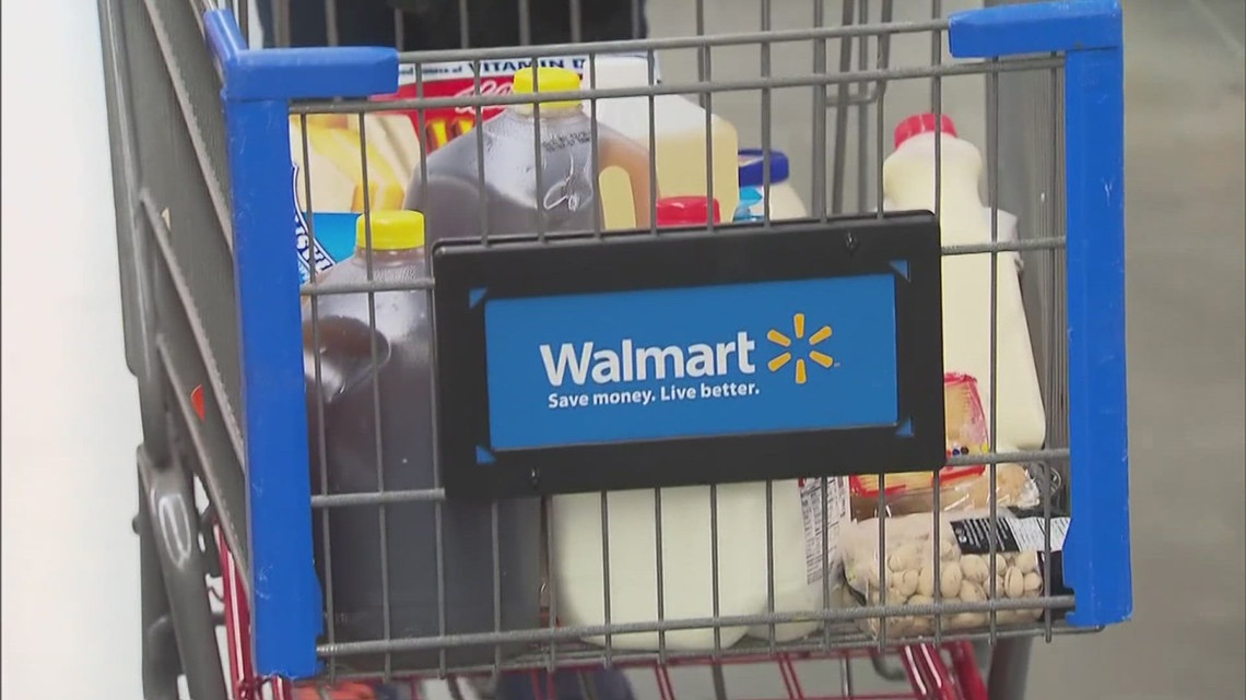 Walmart becomes latest company to roll back its DEI policies [Video]