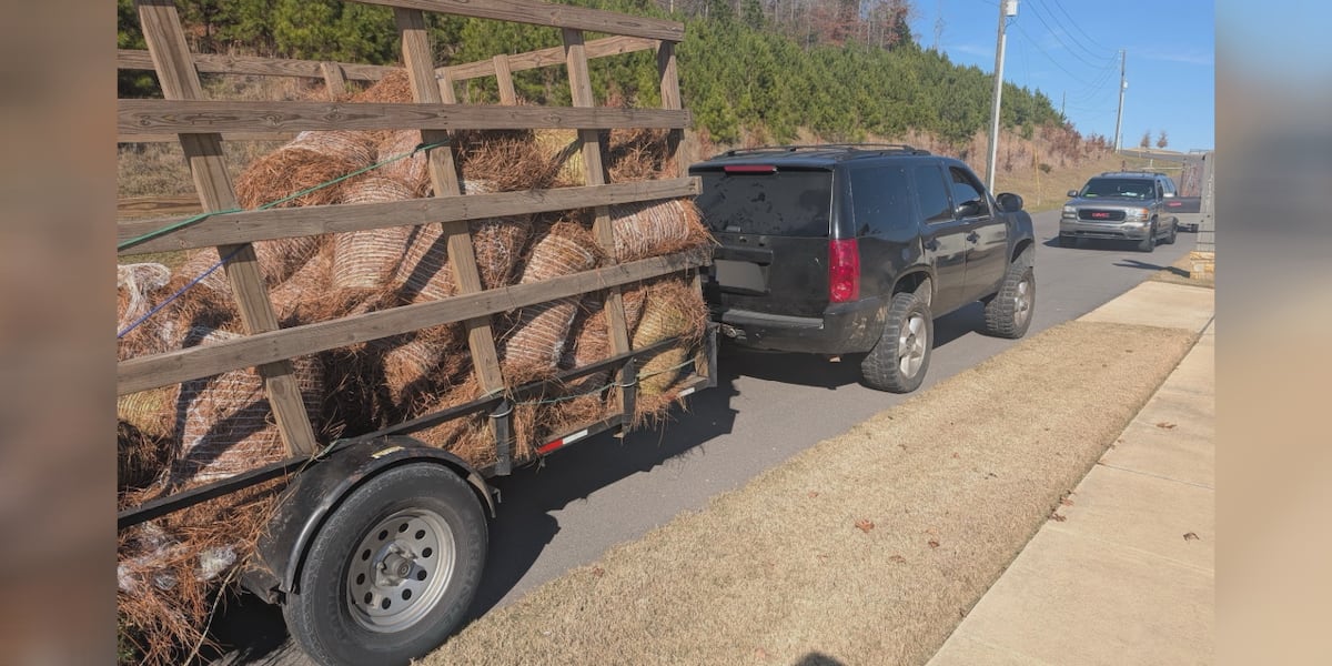 Hoover Police warn of pine straw business scam [Video]