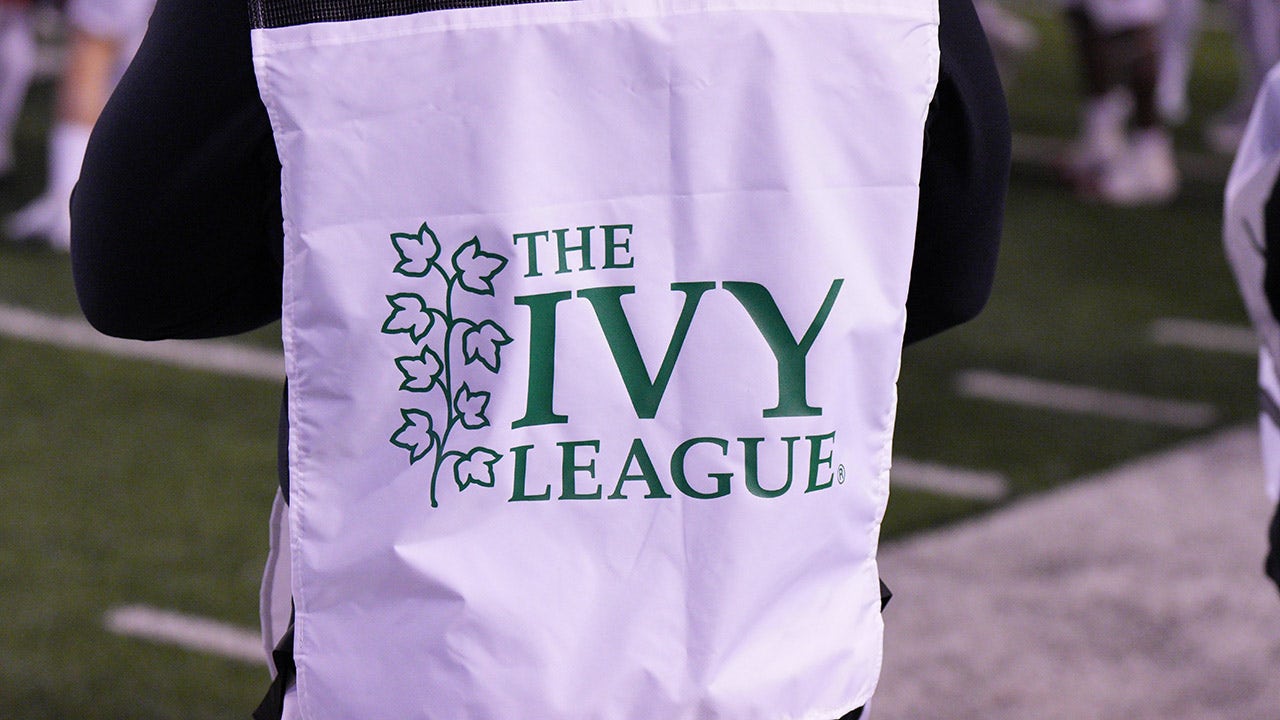 Report highlights prevalence of DEI at Ivy League institutions: 