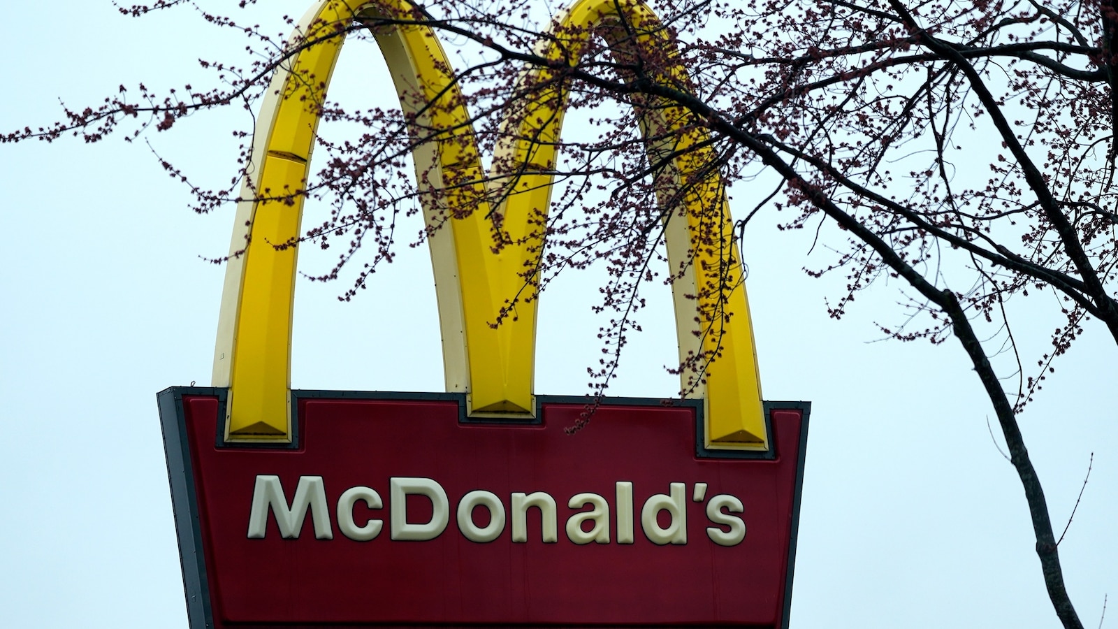 McDonald’s, Walmart: These companies are rolling back some DEI policies [Video]