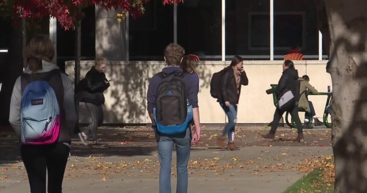 Legislative committee introduces bill to address DEI programs in Idaho colleges [Video]