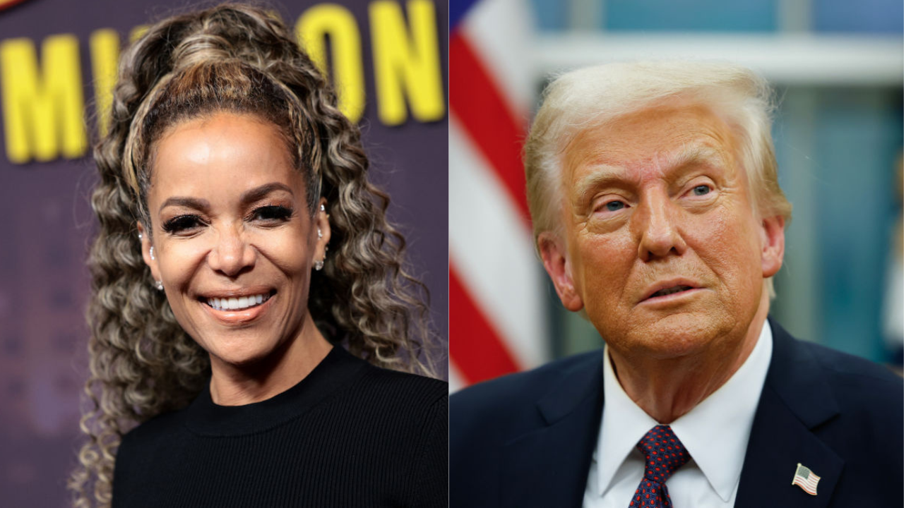 ‘The View’ co-host Sunny Hostin says President Trump is a DEI hire: ‘Did not earn it’ [Video]